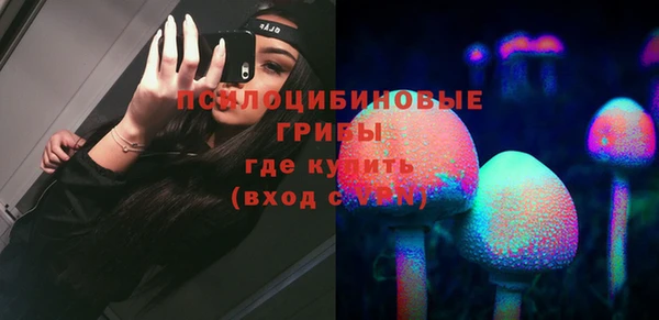 СК Надым