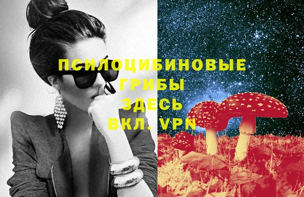 СК Надым