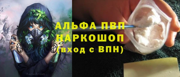 СК Надым