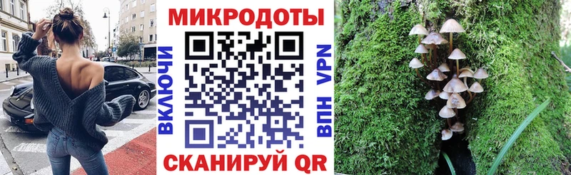 Псилоцибиновые грибы Cubensis  кракен вход  Североуральск 