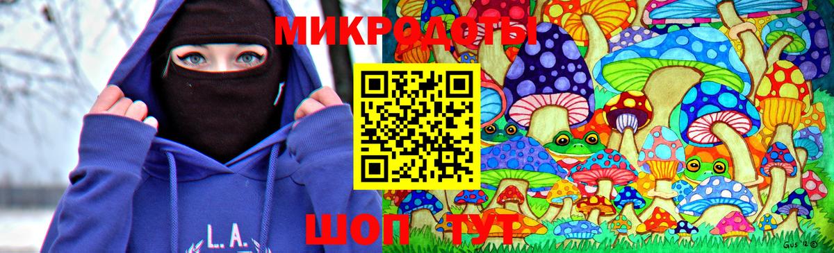 Псилоцибиновые грибы прущие грибы  Псилоцибиновые грибы Psilocybine cubensis  Североуральск 