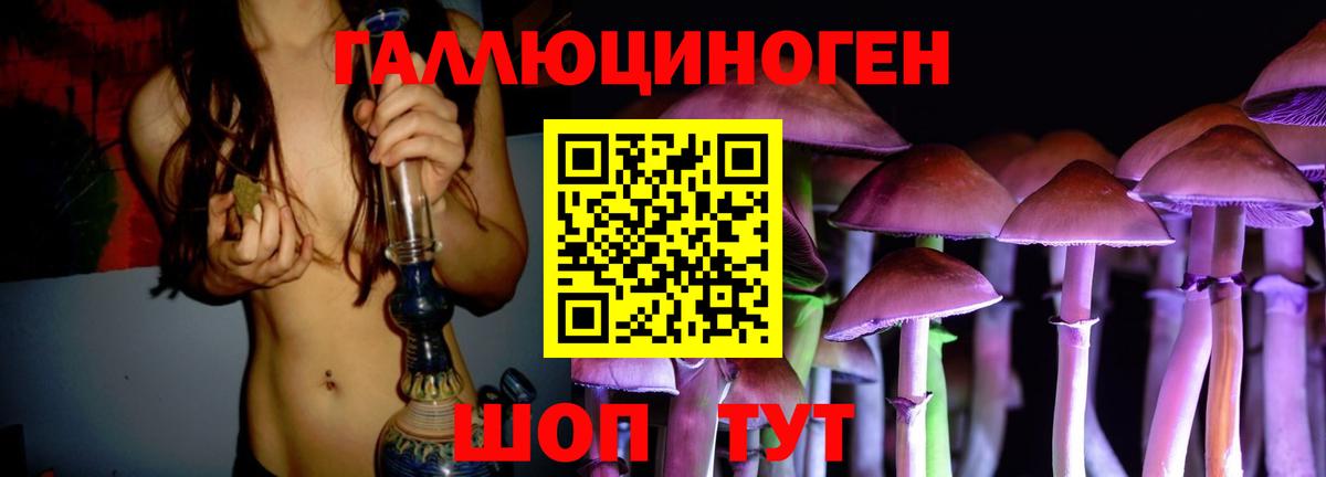 Североуральск  как найти   Вход с VPN  Галлюциногенные грибы прущие грибы  Галлюциногенные грибы прущие грибы 